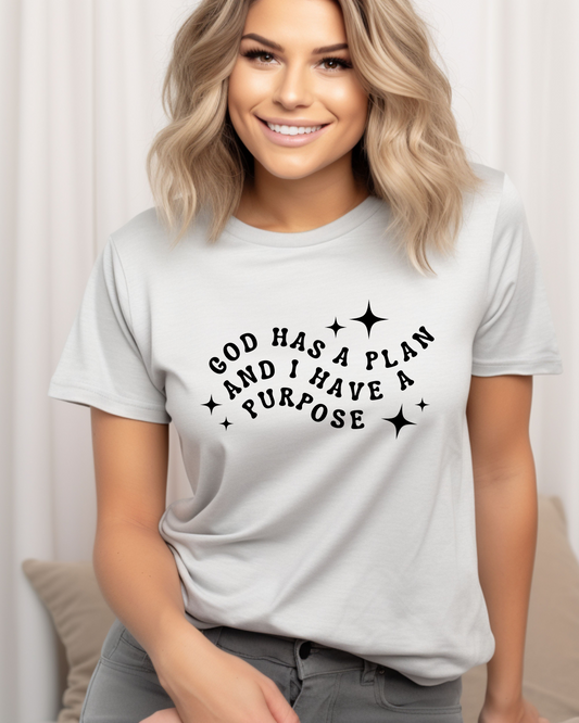 God Has a Plan Graphic Tee in New Colors
