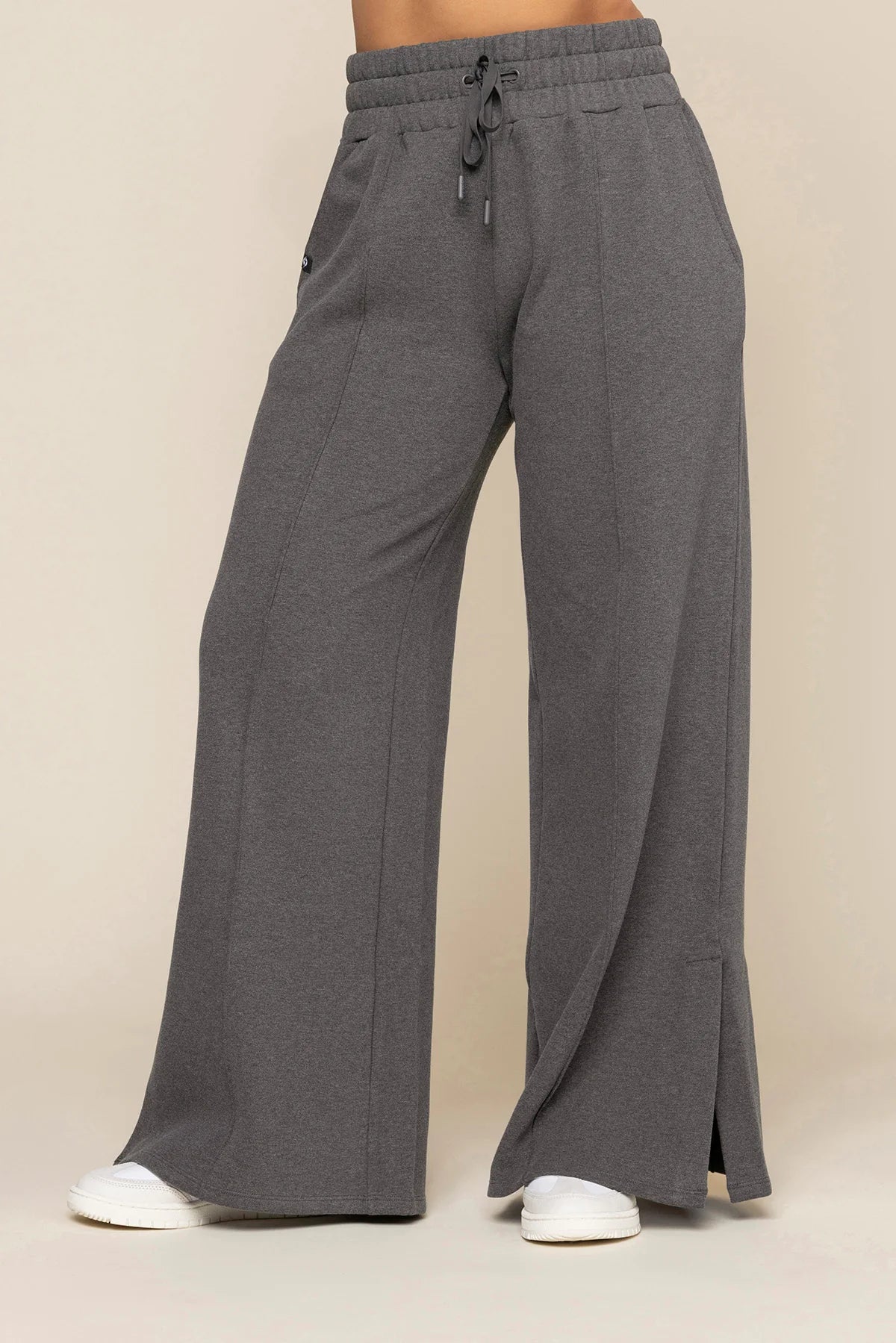 Your Perfect Plane Pant in Charcoal