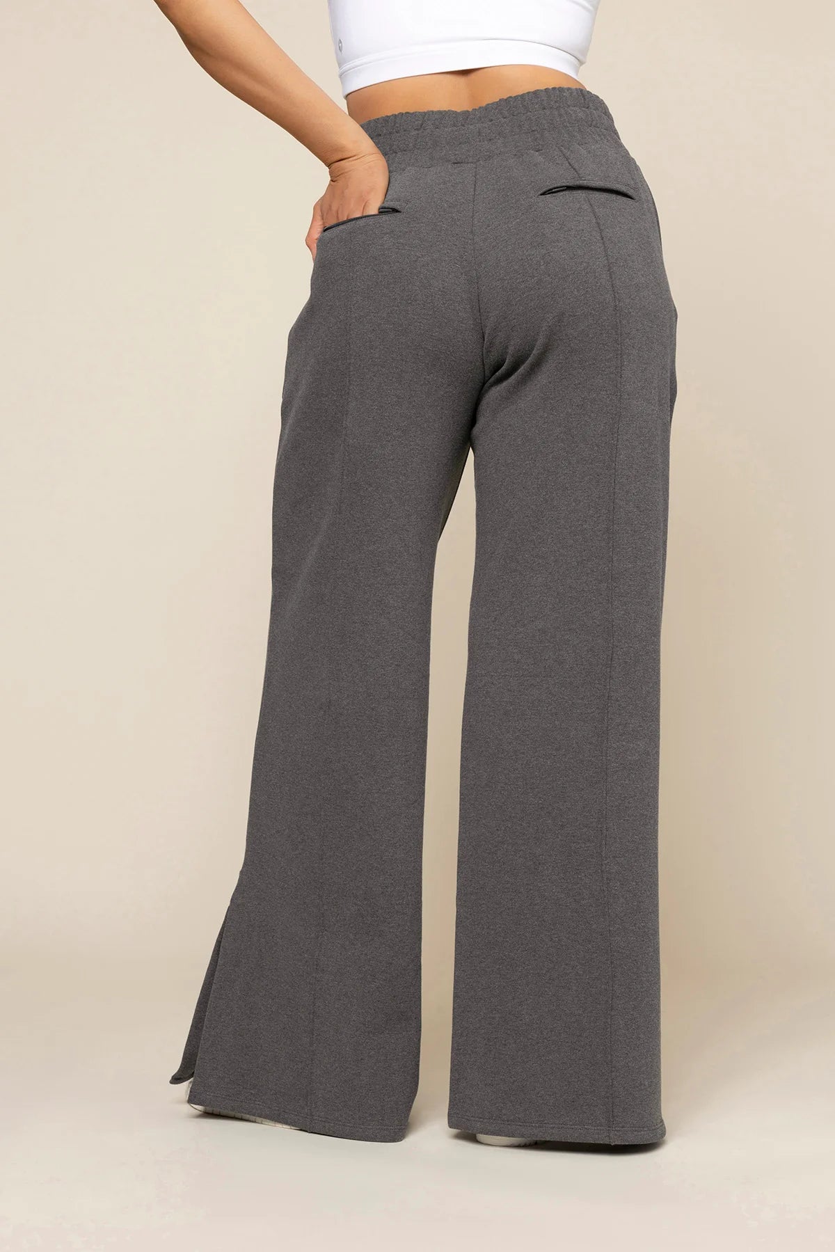 Your Perfect Plane Pant in Charcoal