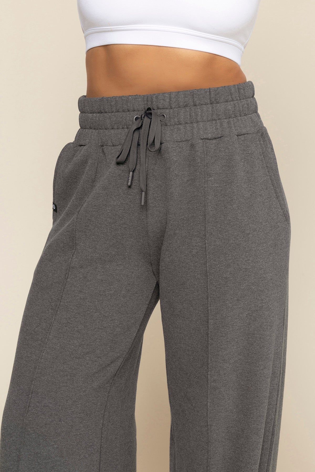 Your Perfect Plane Pant in Charcoal